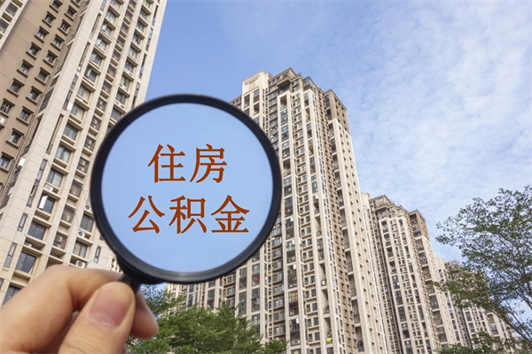 舞钢离职后公司不给转公积金怎么办（离职后公司不给转社保怎么办）
